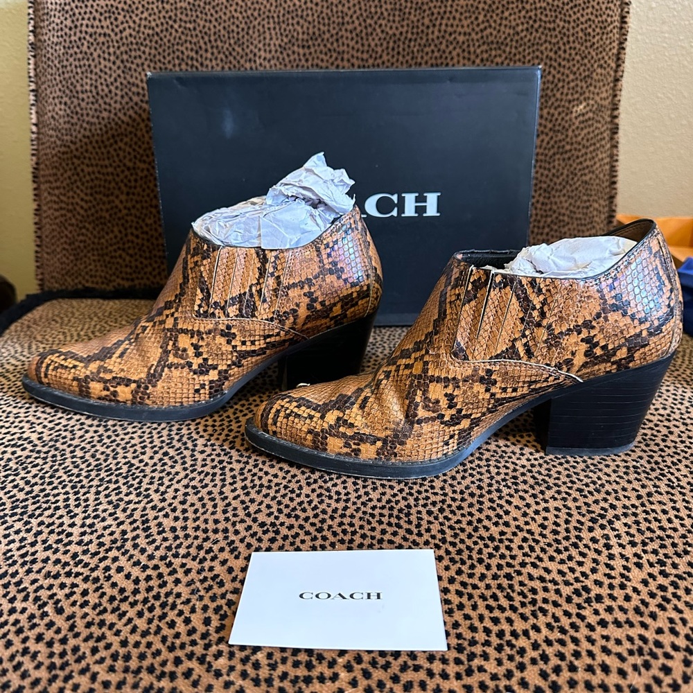 Snakeskin Coach heeled booties